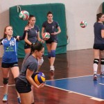 Zalet - Eurovolleyschool