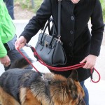 Vesna - Union Pasiano