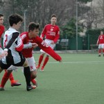 Roianese - Kras Repen