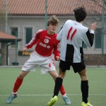 Roianese - Kras Repen