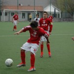 Roianese - Kras Repen