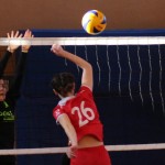Poggivolley – Sokol