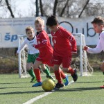 Kras - Montebello - Domio