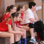 Poggivolley – Sokol