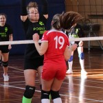 Poggivolley – Sokol