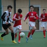 Roianese - Kras Repen