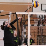 Poggivolley – Sokol