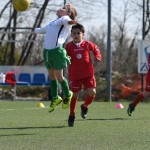 Kras - Montebello - Domio