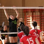 Poggivolley – Sokol