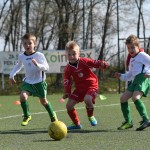 Kras - Montebello - Domio