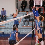 Zalet - Eurovolleyschool