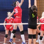 Poggivolley – Sokol