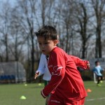 Kras - Montebello - Domio