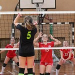 Poggivolley – Sokol