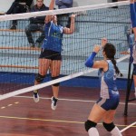 Zalet - Eurovolleyschool