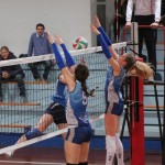 Zalet - Eurovolleyschool