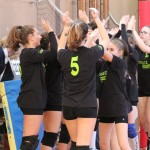 Poggivolley – Sokol