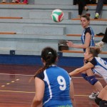 Zalet - Eurovolleyschool