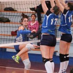 Zalet - Eurovolleyschool
