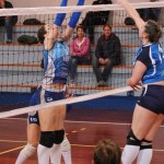 Zalet - Eurovolleyschool