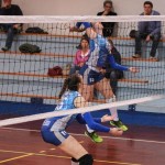 Zalet - Eurovolleyschool
