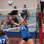 Zalet - Eurovolleyschool