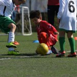 Kras - Montebello - Domio