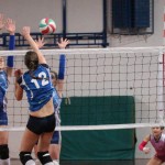 Zalet - Eurovolleyschool