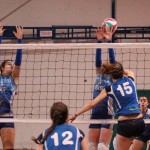 Zalet - Eurovolleyschool