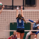 Zalet - Eurovolleyschool