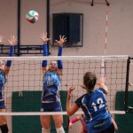 Zalet - Eurovolleyschool