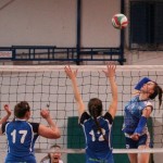 Zalet - Eurovolleyschool