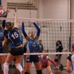 Zalet - Eurovolleyschool