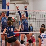 Zalet - Eurovolleyschool