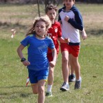 Tek čez drn in strn za slovenske Nižje srednje šole v Tržaš