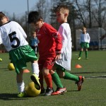 Kras - Montebello - Domio