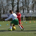 Kras - Montebello - Domio