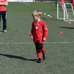 Kras - Montebello - Domio