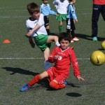 Kras - Montebello - Domio