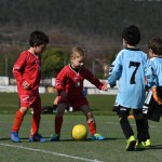 Kras - Montebello - Domio