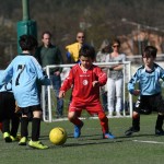 Kras - Montebello - Domio