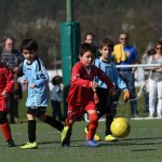 Kras - Montebello - Domio