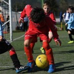 Kras - Montebello - Domio