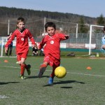 Kras - Montebello - Domio