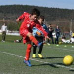 Kras - Montebello - Domio