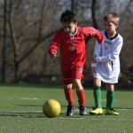 Kras - Montebello - Domio