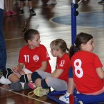 Tradicionalni turnir minivolley
