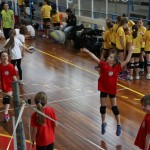 Tradicionalni turnir minivolley