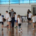 Volley Mania