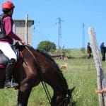Etapa evropskega pokala v disciplini trek